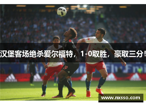汉堡客场绝杀爱尔福特，1-0取胜，豪取三分！