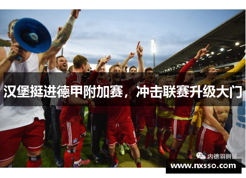 汉堡挺进德甲附加赛，冲击联赛升级大门